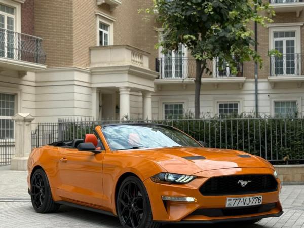 Mustang