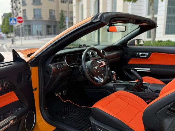 Mustang