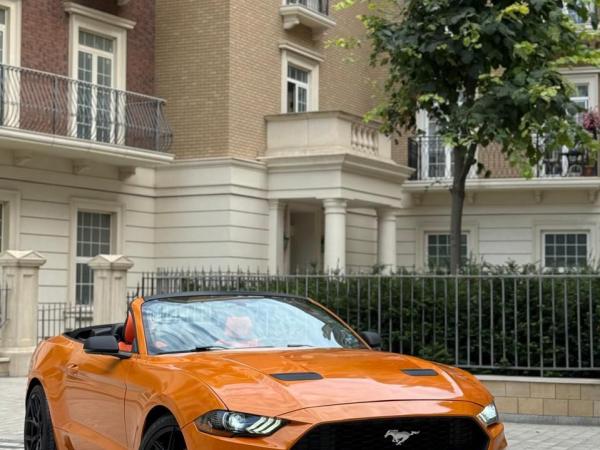 Mustang