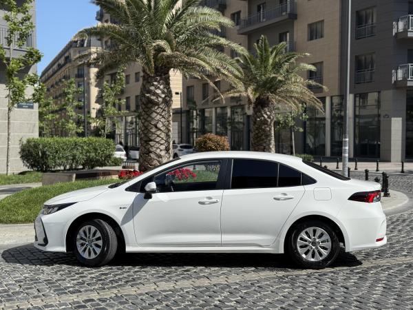 Corolla